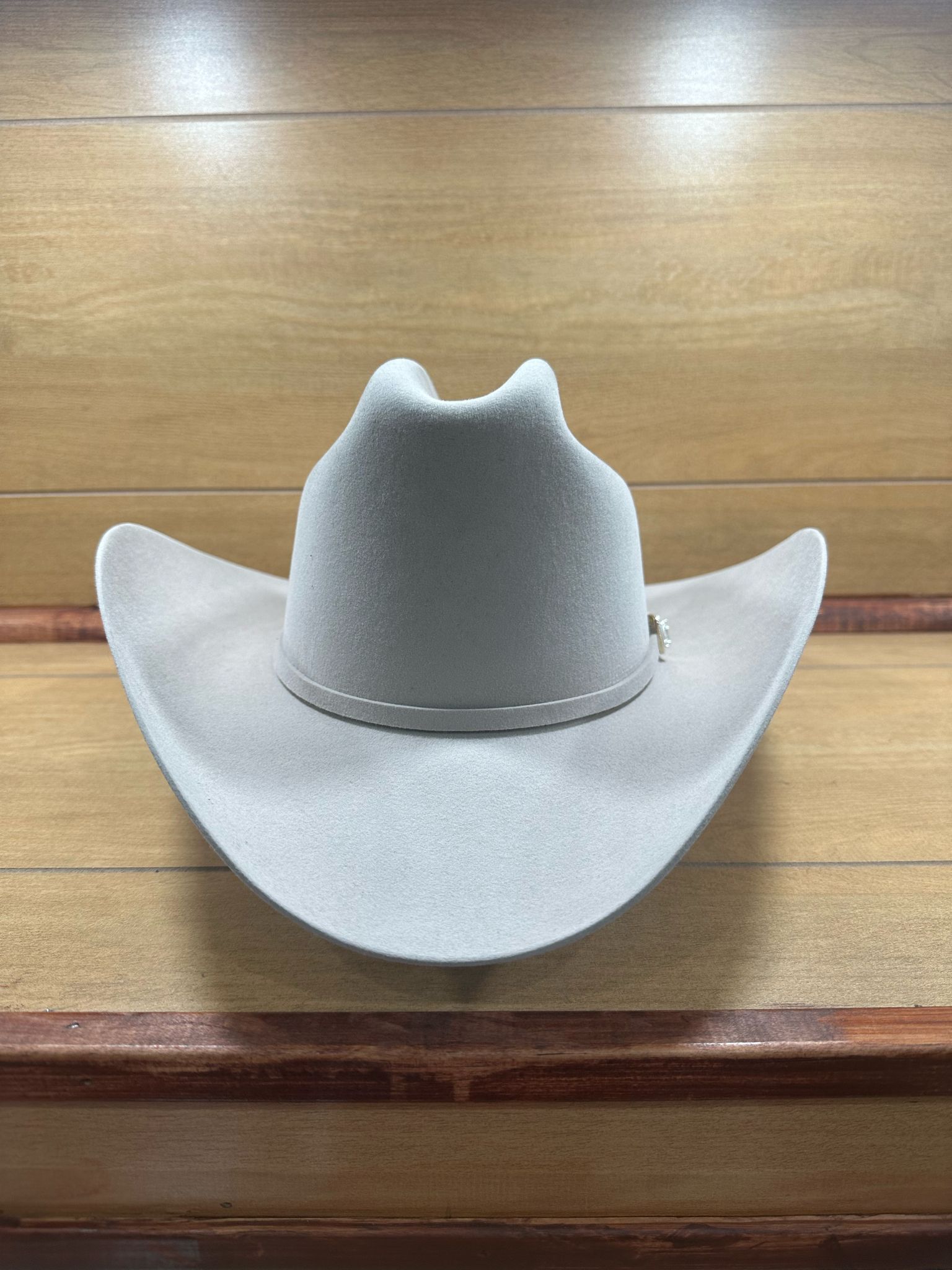 Stetson Guadalupana 6x Silver Belly